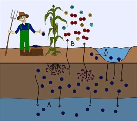 How Long Does It Take Fertilizer to Work: And Why Do Plants Sometimes Prefer Jazz Over Classical Music?