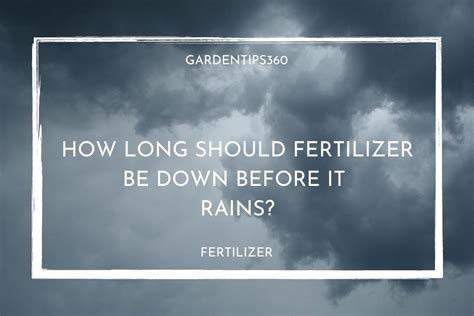 How Long Should Fertilizer Be Down Before It Rains: And Why Do Clouds Always Seem to Know When You’ve Just Watered the Plants?