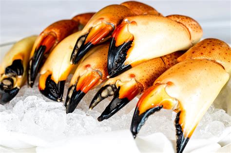 How to Eat Stone Crab Claws: A Culinary Adventure into the World of Crustaceans and Beyond