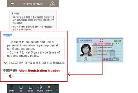 공인인증서 발급 국민은행, 디지털 시대의 필수 아이템인가?