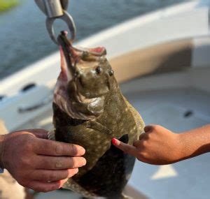 秦皇島海域钓鱼攻略