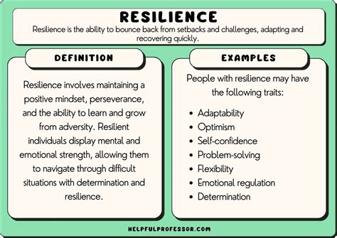 resilience 뜻: 회복력의 의미와 일상 속의 역설