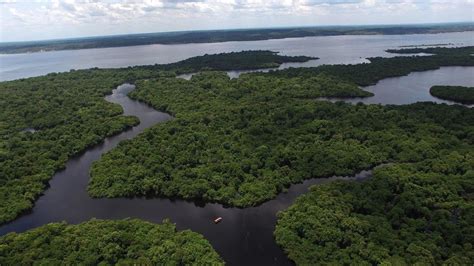  Sol Nascente na Floresta Amazônica en Vibrant Splatters and Dreamlike Forms