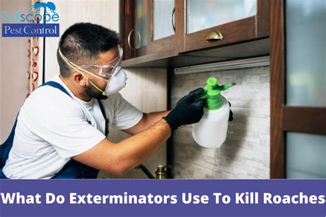 What Spray Do Exterminators Use for Roaches: A Deep Dive into Pest Control Strategies and Unrelated Musings